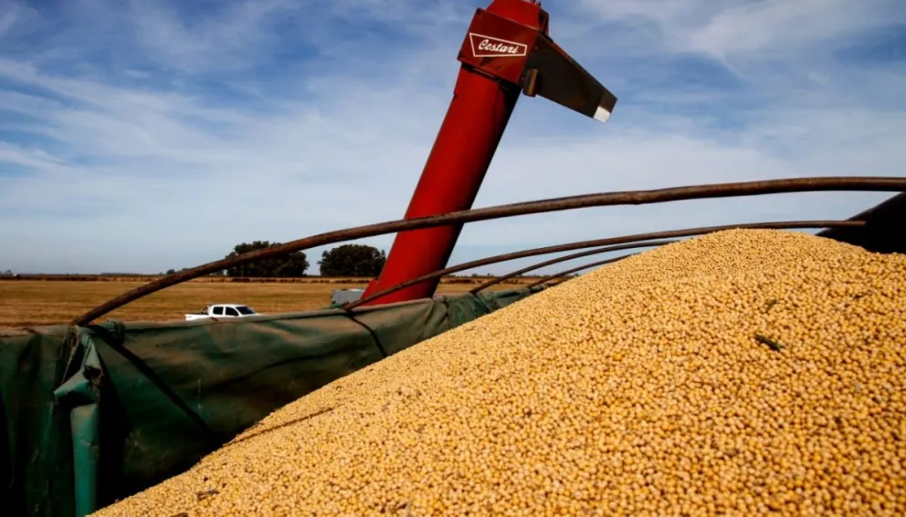 El Campo defiende el cese de comercialización de mañana y apunta contra el Gobierno
