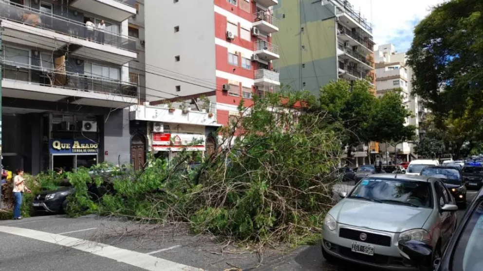 El temporal provocó voladura de techos, caída de árboles y cortes de ...