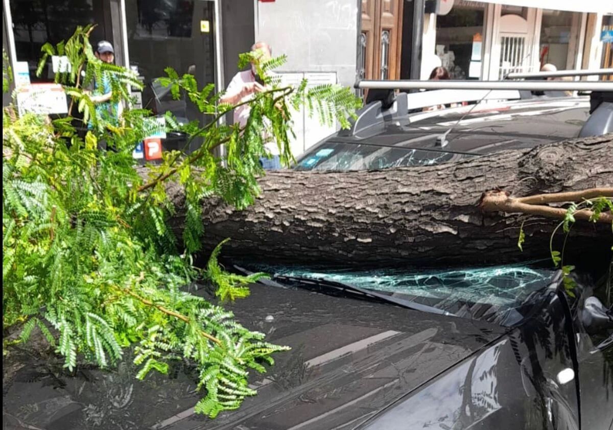El temporal provocó voladura de techos, caída de árboles y cortes de ...