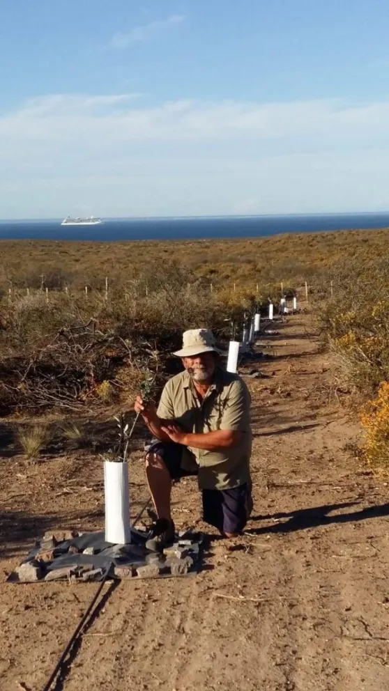 El Polo Olivícola Patagónico fue anunciado públicamente en el CCK
