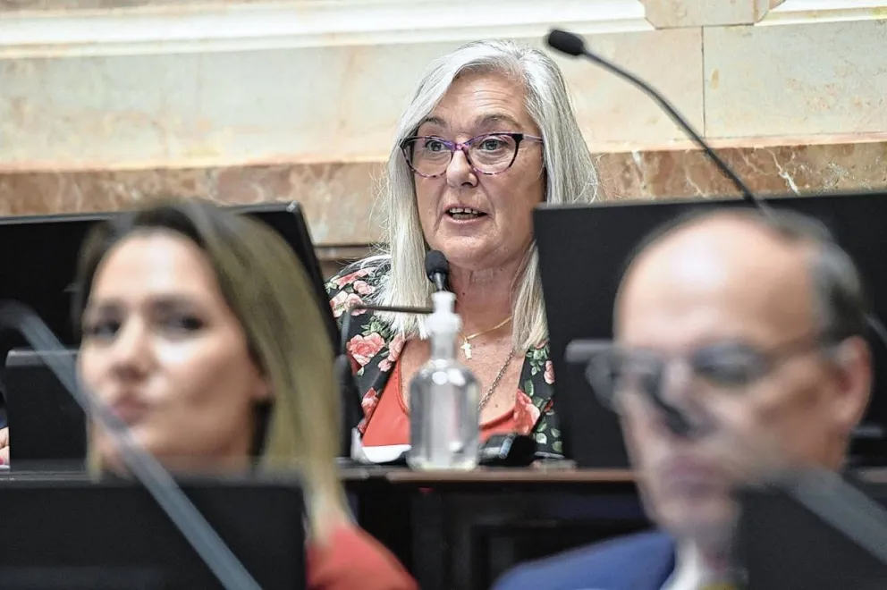"Tuvimos una semana negra para la Argentina y siguen sin dar explicaciones", sostiene la senadora Terenzi