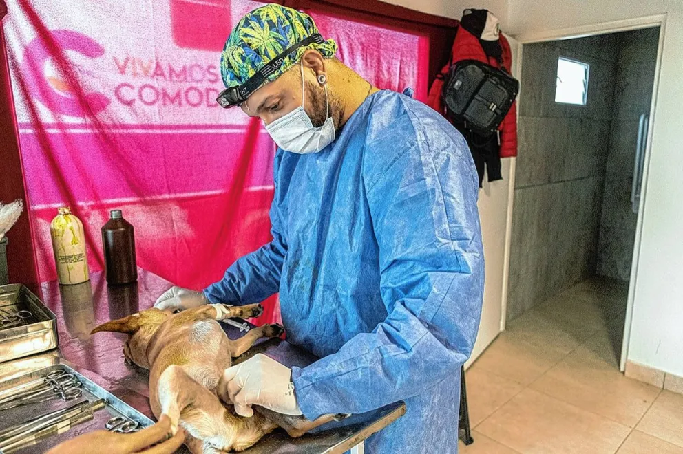 Dónde estarán los tráileres de castración esta semana