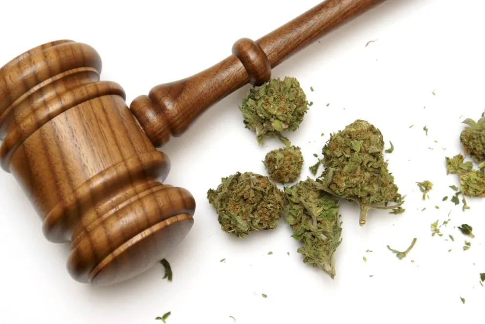 Cannabis: la Corte Suprema trata un fallo sobre el auto cultivo con fines medicinales