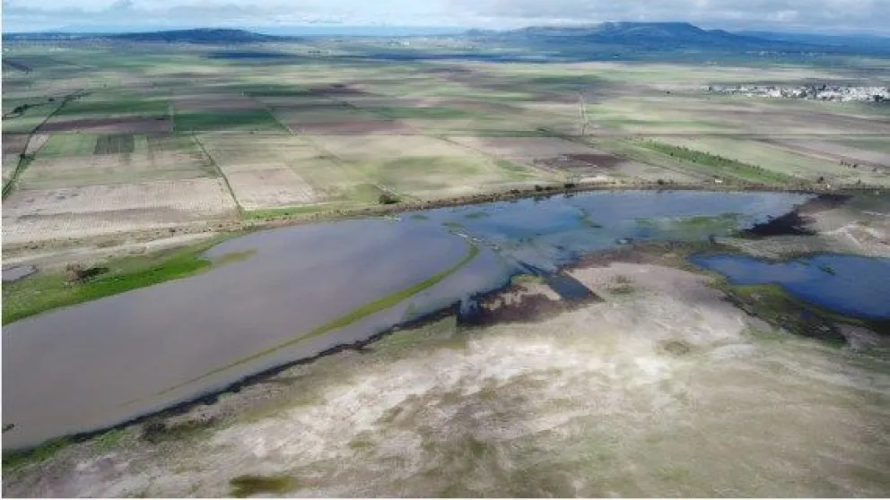 Alrededor de 40 por ciento de superficie terrestre está degradada, según informe de ONU