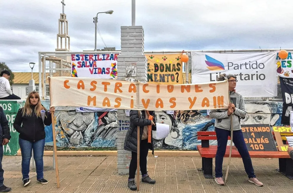 Proteccionistas se sumaron al abrazo simultáneo en todo el país solicitando castraciones
