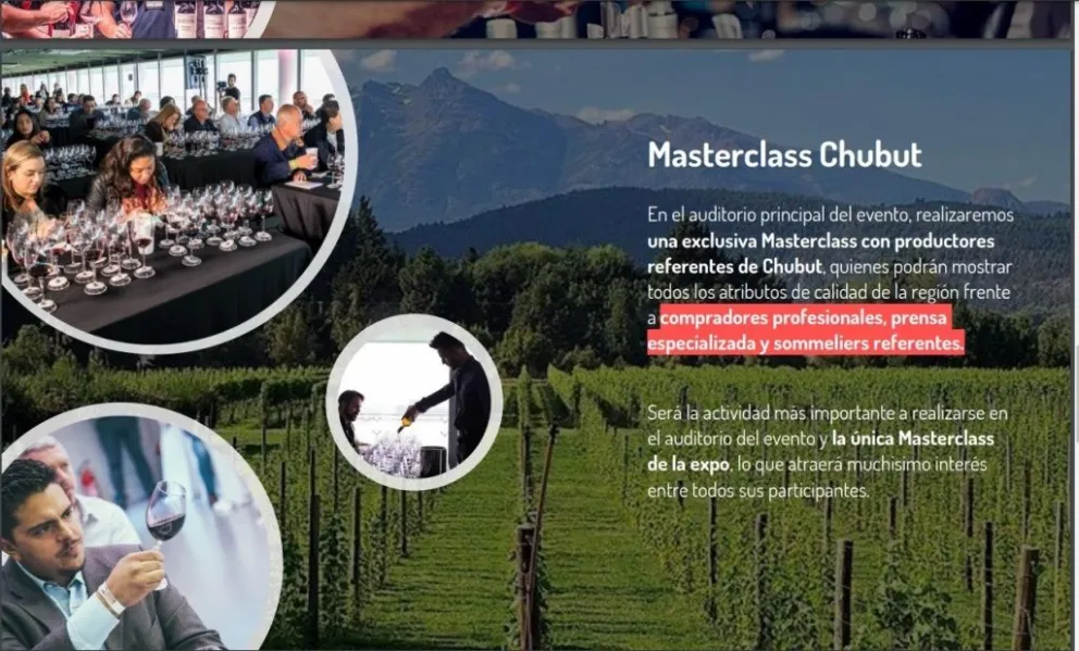 Chubut tendrá su stand en la Expo Vinos y Negocios de Buenos Aires