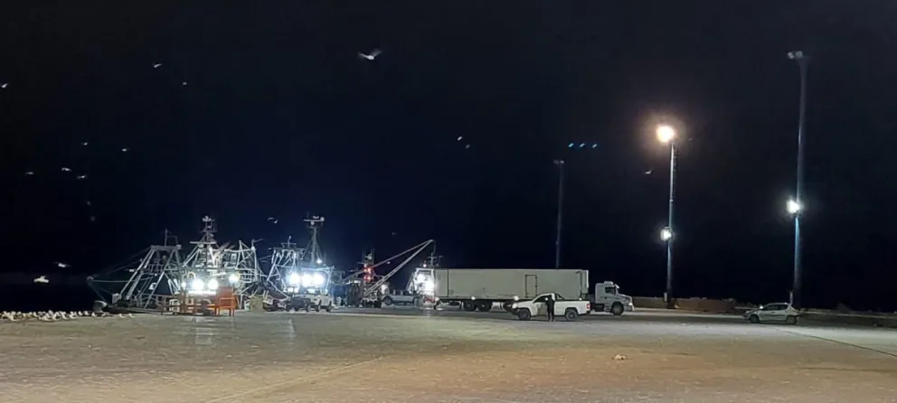 Intensa actividad pesquera en el Puerto de Comodoro